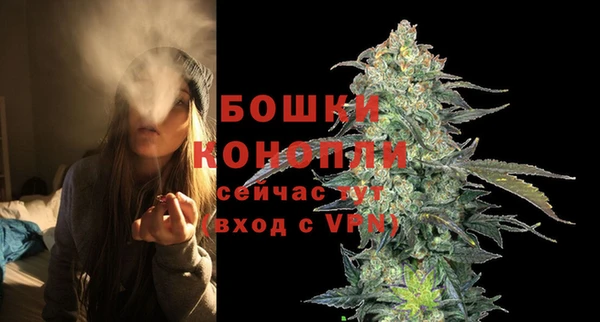 стафф Богданович